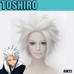 Perruque Bleach Toshiro Aw22