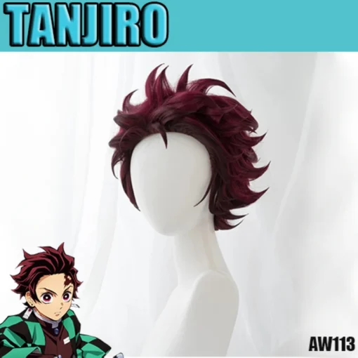 Perruque Tanjiro Aw113