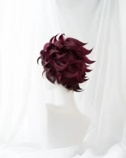 Perruque Tanjiro Aw113 -Otakuya Shop 6000000117002 5 400