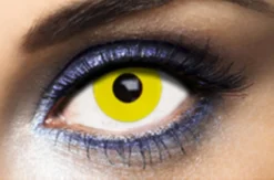 Lentilles Jaune