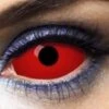 Paire De Sclera Rouge 1an -Otakuya Shop 7000000064003 1 400