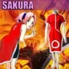 Cosplay Sakura 2 Cosplay Sakura -Otakuya Shop 8000000002024 1 400