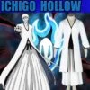 Ichigo Hollow -Otakuya Shop 8000000012009 1 400