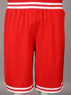 Hanamichi Sakuragi De Slam Dunk -Otakuya Shop 8000000041001 8 400