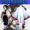 Cape De Shinobu Dans Demon Slayer